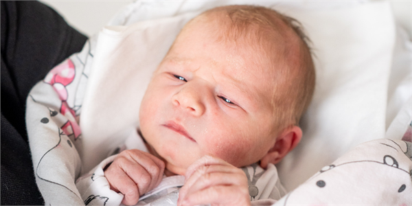 ilustrační obrázek