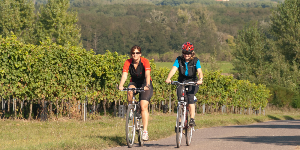 ilustrační obrázek