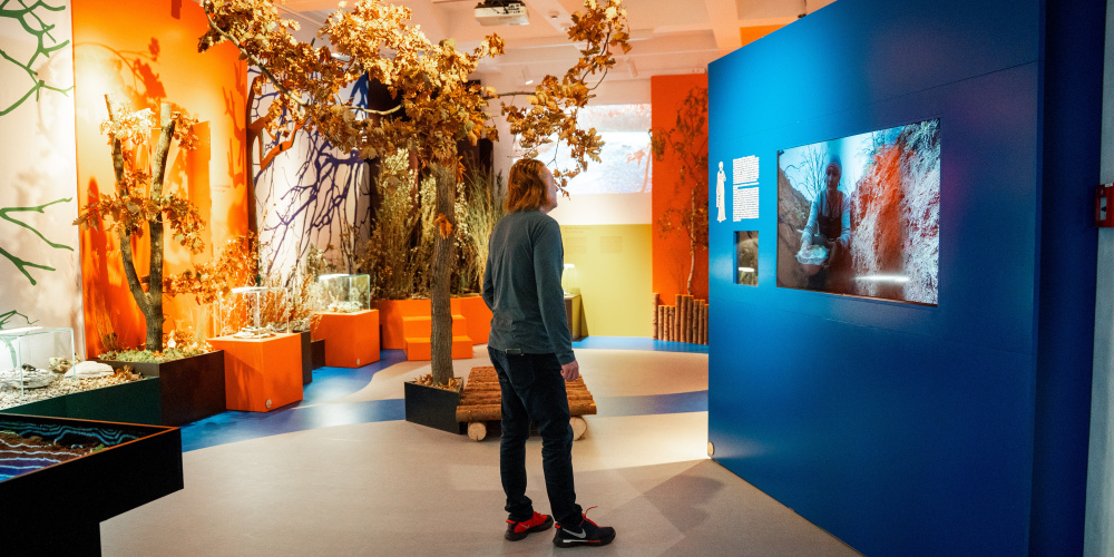 ilustrační obrázek