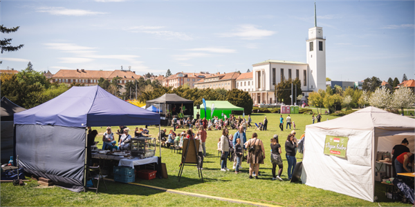 ilustrační obrázek