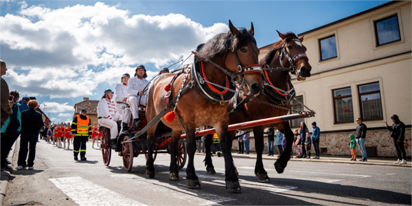 ilustrační obrázek